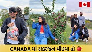 પેલી વાર જોયા આટલા બધા સફરજન  | Apple Picking at Orchard Farm