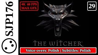 The Witcher: Enhanced Edition—Uncut No-Commentary First-Time Playthrough—Part 29