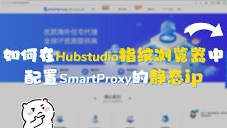 【Hubstudio指纹浏览器】如何配置SmartProxy静态ip？