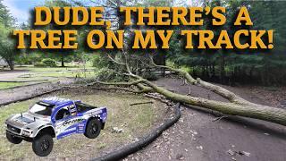 A Tree Fell on Our RC Track