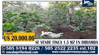 Venta de Propiedades - SE VENDE FINCA AGRICOLA EN DIRIAMBA