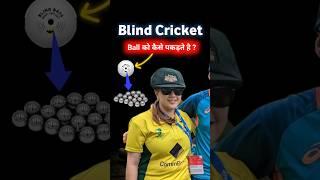 Blind Cricket #cricket #cricketshorts Cricket Highlights