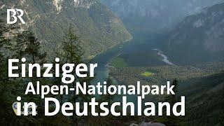 Berchtesgadener Land: Der einzige Alpen-Nationalpark in Deutschland | Heimat der Rekorde