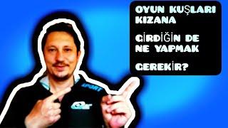 OYUN KUŞLARI KIZANA GİRDİĞİNDE NE YAPMAK GEREKİR? |SEFERLİ GÜVERCİN|