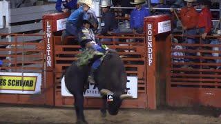 JB Mauney's Final Bull Ride vs Phenom Genetics' Arctic Assassin