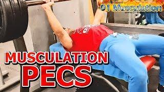 Séance de Musculation des Pectoraux et Deltoides