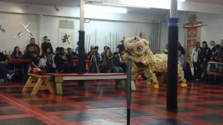 Chans Kung Fu Lion  Dance