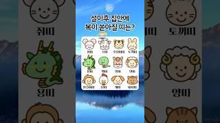 2025년 설이후 집안에 행운이 찾아올 띠는 #퀴즈 #테스트 #운세