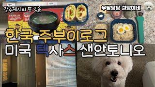 저탄고지레시피와 일반레시피가 공존하는 미국 텍사스 한국 주부이로구(다 맛있음 )