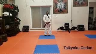 Goju Ryu Beginner Kata Taikyoku Gedan - Team Elite Martial Arts