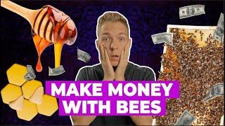 Beekeeping for Profit Can Pay $10,000 per Month!