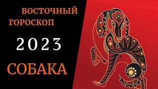 Собака - Китайский гороскоп 2023 Знаки Восточного гороскопа по годам | Что значит твой Год Рождения?