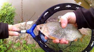 Jigging and Dropshotting for Perch. Ultra light lure fishing