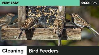 How to clean bird feeders