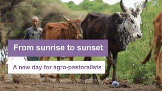 From Sunrise to Sunset: A New Day for Agro-Pastoralists