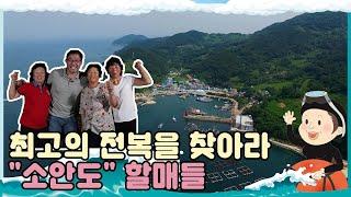 [섬마을 할매 시즌1] 소안도 2편 l 최고의 전복을 찾아라! 