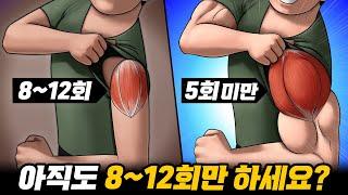 반복횟수 12회로 근육 절대 안 크는 이유!? (초급자, 중급자, 고급자 운동 루틴)