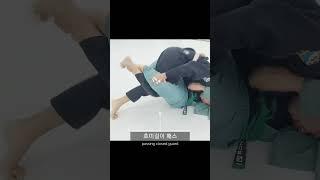 곡괭이 아닙니다. #호미걸이패스 #hoepass #주짓수 #jiujitsu #bjj #guardpass
