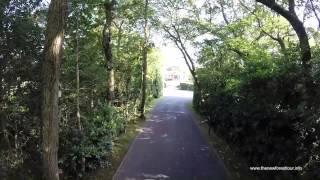 New Forest Tour Blue Route in four minutes