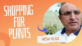 Shopping for Plants| Gardens| Flowers| Dr. Daud Mirza #flowers