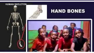 Teacher Amanda How to Read and Write (Human Skeleton) (Official Video)