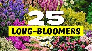  Top 25 Best LONGEST Blooming Perennial Flowers  BLOOMS THAT NEVER QUIT 