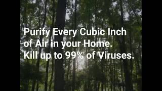 Whole Home Air Purifiers