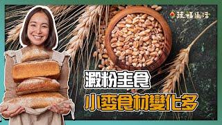 澱粉主食　小麥食材變化多｜蔬福生活