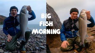 THEY JUST LOVE THIS LURE - BIG BASS MORNING - FISHING FOR BASS USING LURES - ROBALO PESCA LUBINA