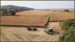 Midwest Corn Harvest from the Sky (4k Cinematic Drone Short Film)