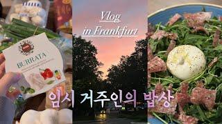 임산부는 해외에서 뭐 해먹나... 이 없으면 잇몸으로 독일 임시 거주인의 밥상 원팬파스타 그리고...