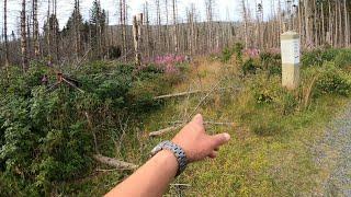 Auf dem Schneelochweg zum Brocken im Harz - Lost Places