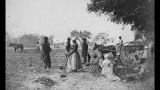 Photos of Freed Slaves and Union Soldiers on Edisto Island During the Civil War (1862)