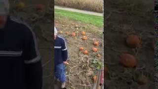 Total hillbilly