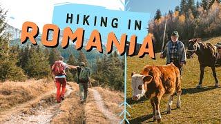 ROMANIA HIKE in Carpathian Mountains, Transylvania   (with Outdoor Activities in Romania)