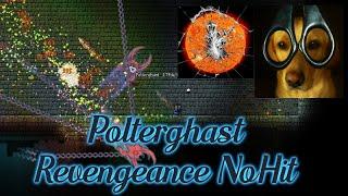 Calamity - Polterghast Revengeance NoHit as Rogue