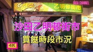 沙田乙明邨街市 買餸時段市況【4K】Jat Min Chuen Market Shantin 27 Dec 2023 #人流 #生意 #民生 #街市 #豬肉 #水果 #海鮮 #麵包店