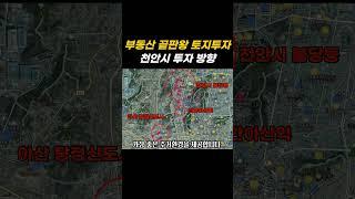 부동산 끝판왕 토지투자 천안시 투자 방향