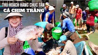 Nhộn nhịp Ghe hơn chục Tấn Cá Chim trắng vào bờ và bữa cơm đặc biệt dưới Gầm Cầu | SONG HỶ VLOG #756