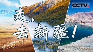 新疆：此生必打卡旅游地？玩一遍新疆约等于玩遍全世界？这里春夏秋冬都美得不像话！【CCTV纪录】