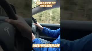 Where is best to test drive a Tesla? #webbythewebberson #comedyfilms @tesla #ty