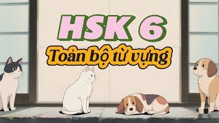 HSK 6 – Toàn bộ từ vựng | HSK等级六全部词汇