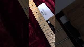 Fender jim root telecaster