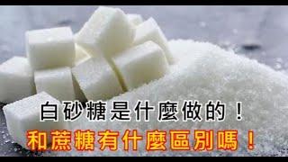 白砂糖是什麼做的！和蔗糖有什麼區別嗎！