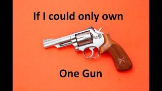 If I could only own one gun