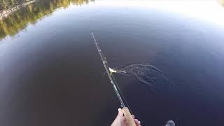 French River Fishing raw video 2019