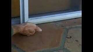 Adjusting Sliding Screen Door Wheels