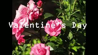 Valentine's Day | JL Productions SA |