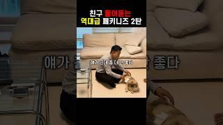 100만 친구에게 시비걸고 싸우는 강아지 행동교정법 2탄