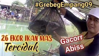 Gacor Abis., 26 Ekor Ikan Mas Terciduk, Mancing di Empang Graha Mustika  Media Setu .#grebegempang09